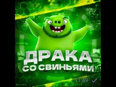 Видео: •драка со свиньями•