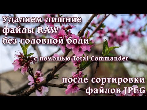 Видео: Как избавиться от ненужных фотографий в RAW формате после сортировки JPEG формата