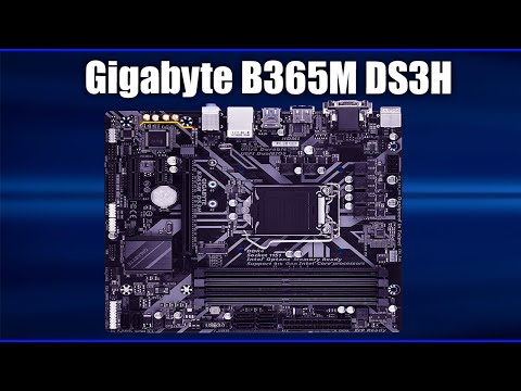 Видео: Материнская плата Gigabyte B365M DS3H