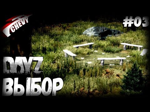 Видео: DayZ - ВЫБОР (выживание 03) [2K]