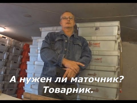 Видео: А нужен ли маточник? Товарник.