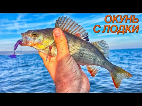 Видео: Как я ловил рыбу этим утром с лодки?!!! Рыбалка на окуня