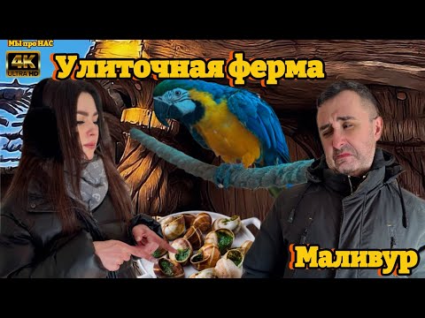 Видео: Парк Улитка. Маливур