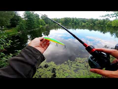 Видео: Kastking Maxsteel 8 20 MH 2,4 Обзор на воде, тест 8 60 гр