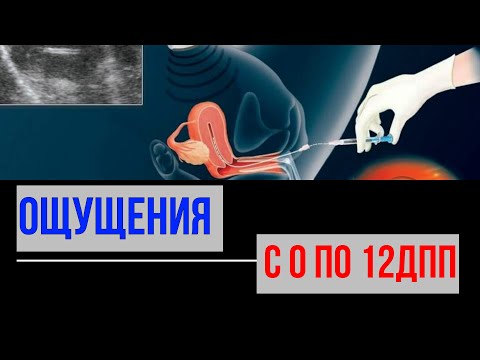Видео: ОЩУЩЕНИЯ С 0-12ДПП. Свежий протокол. Часть 2. Видео № 10
