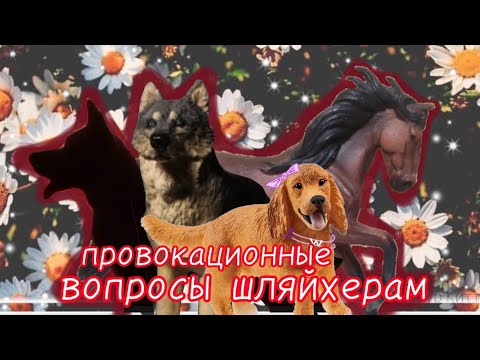 Видео: schleich show: провокатор /подписчики задают шляйх блогерам провокационные вопросы 💧