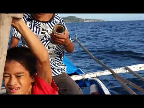Видео: 🐋 🐬 🦀 Филиппины. Рыбалка в филиппинском море.