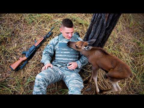 Видео: Умирающий Лосенок принял солдата за МАМУ... То, что было дальше, поразило всех!