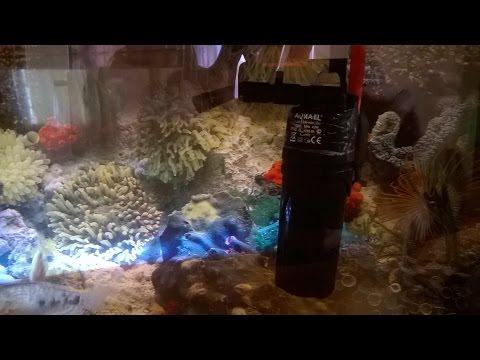 Видео: Ремонт улучшение помпы Акваэль .Часть 2