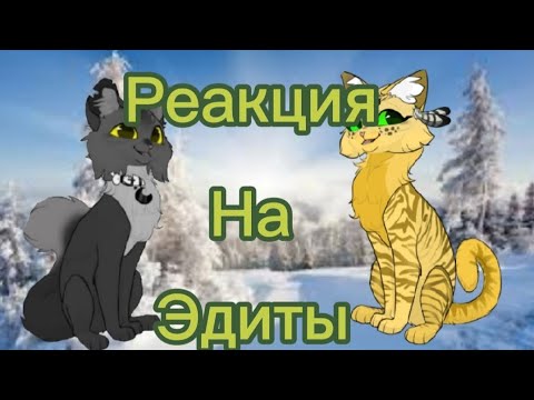 Видео: Реакция на "ТемнолапуюКВ"