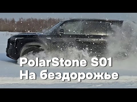Видео: Насколько хорош Polar Stone s01 на самом деле