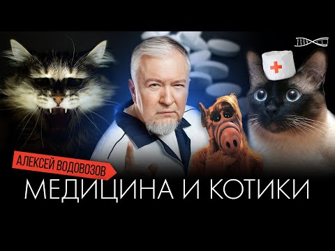 Видео: Алексей Водовозов. Медицина и котики