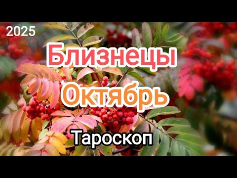 Видео: БЛИЗНЕЦЫ ♊✨ ОКТЯБРЬ 2025✨ Тароскоп🍁