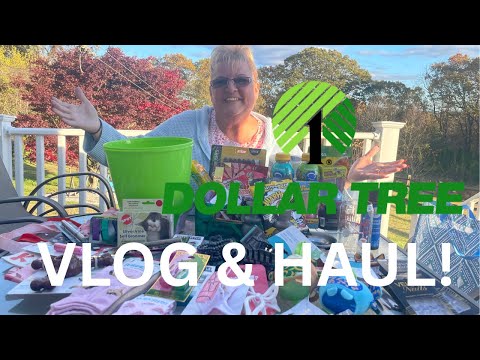 Видео: DOLLAR TREE Haul! & Vlog | 2 ноября 2025 г. (Ко мне присоединились ЛИСА и БЕЛКА!?!?)