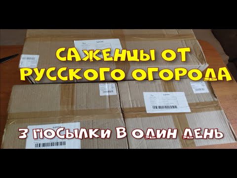 Видео: 3 ПОСЫЛКИ ОТ РУССКОГО ОГОРОДА  В ОДИН ДЕНЬ