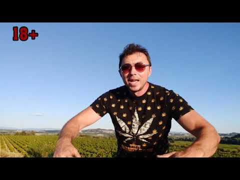 Видео: Dj The Biggest Dan пее за Бойко Борисов