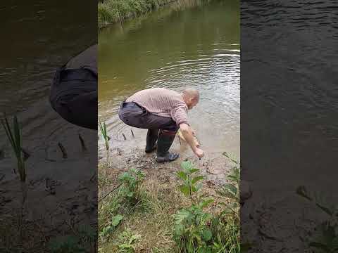 Видео: Дача. Рыбалка.