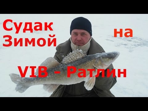 Видео: Зимние вибы и ратлины на судака