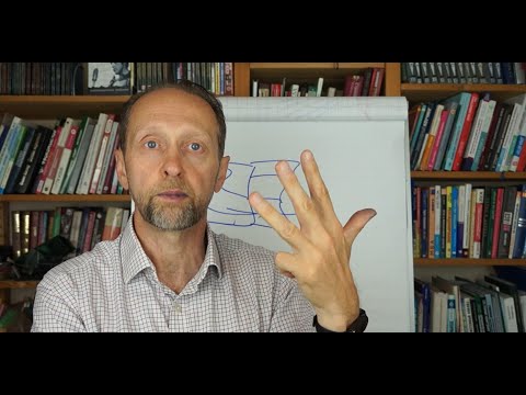 Видео: #6 Системное мышление для ТОПов. Растущая и Развивающаяся системы