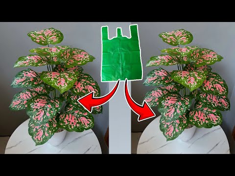 Видео: Как сделать растения Caladium Bicolor из полиэтиленового пакета | Цветочные поделки