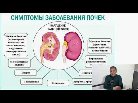 Видео: Организмда кальций  микдори камайиб кетишини 7 та асосий сабаблари 