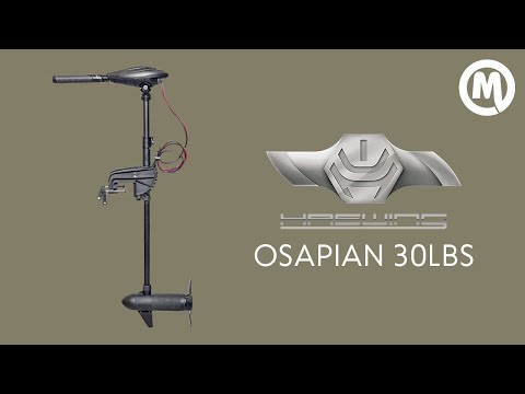 Видео: Электромотор Haswing Osapian 30 Lbs. Обзор