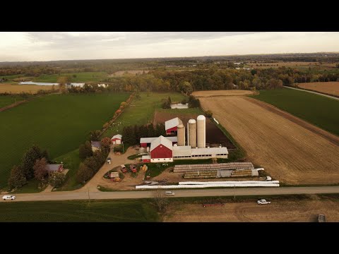 Видео: Заполняем башенные силосы до самой крыши!