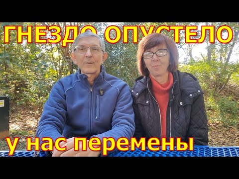 Видео: Перемены в нашей жизни. Гнездо опустело.