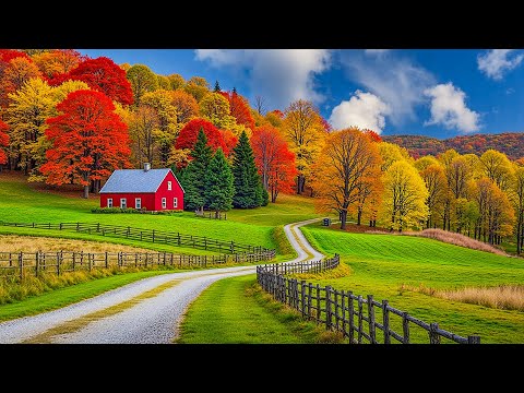 Видео: Успокаивающая осенняя музыка 🍁 Красивая расслабляющая музыка для снятия стресса