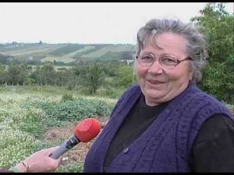 Видео: Пеђа Ристић