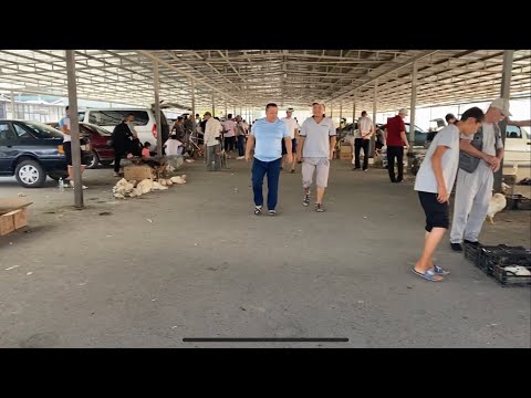Видео: Туркестан Құс Тауық базар. Үндік Уйрек Индаутка Қазы 24.07.2023