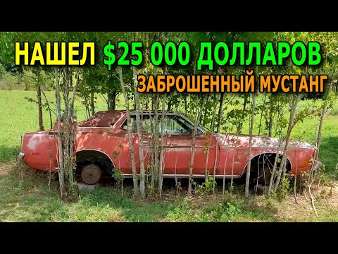 Видео: Что можно найти поисковым магнитом / Находки №197