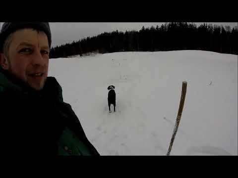 Видео: р. БЕРЕЗАЙКА Жерлицы и донки. 03.03.-07.03.2019.