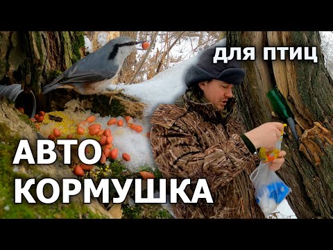 Видео: Автокормушка для птиц, или куда пристроить кусок сантехнической трубы