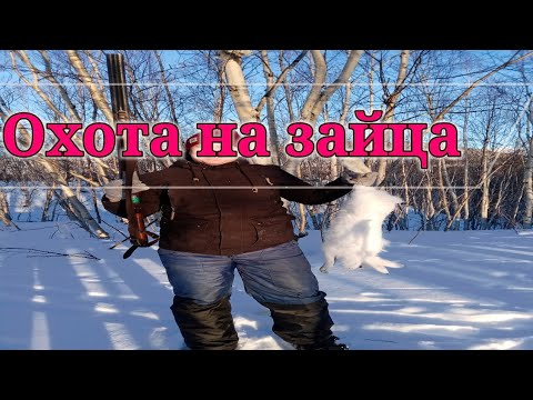 Видео: Как поймать зайца/Установка Петель- Результат!\ Охота на зайца петлями\улов 4 зайца!