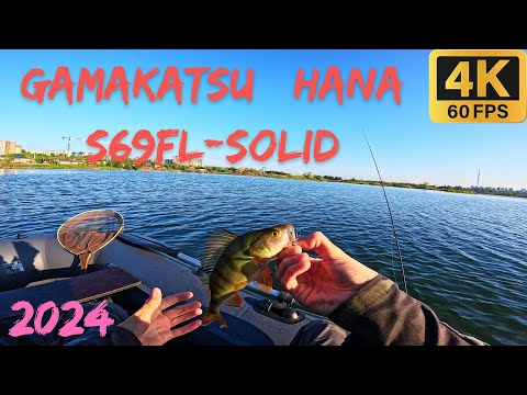 Видео: Отличный клёв окуня на Gamakatsu LUXXE Yoihime Hana S69FL-solid.