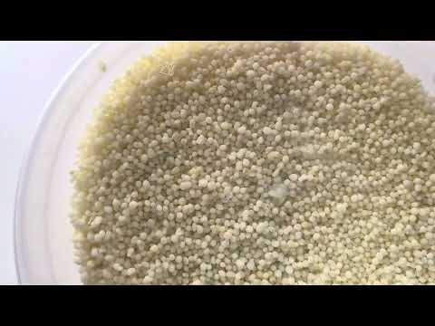 Видео: ПОЧЕМУ Я НЕ ДОГАДАЛАСЬ ОБ ЭТОМ РАНЬШЕ???  Подкармливаю огурцы.