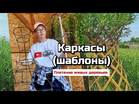 Видео: Тверская ива. Каркасы (шаблоны) для плетения живых деревьев из ивы.