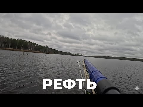 Видео: РЕФТЬ