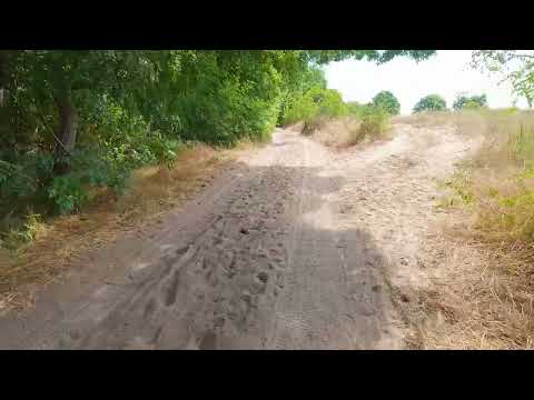 Видео: Камчийски пясъци