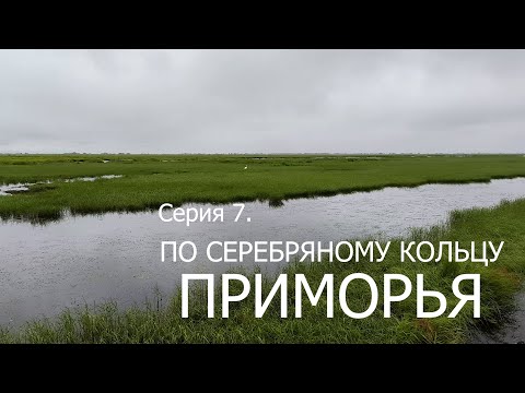 Видео: Трип по “Серебряному кольцу Приморья”.  Серия 7 - Знакомство с озером Ханка.