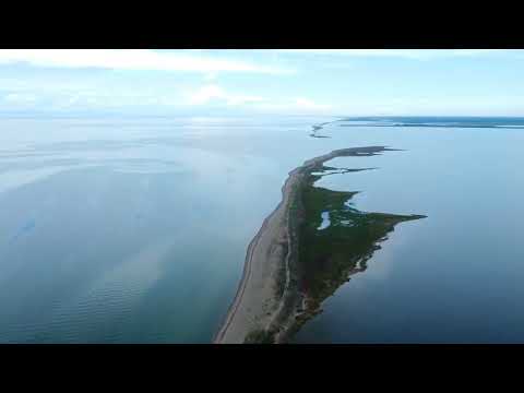 Видео: Байкал, залив Посольский сор, июль 2023