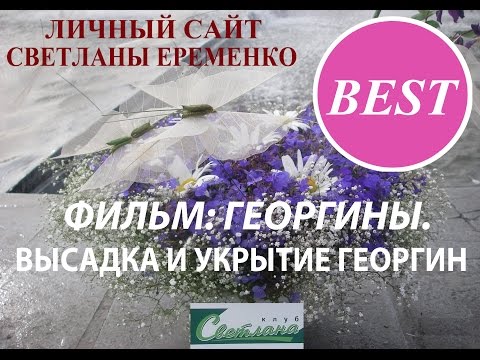 Видео: Высадка и укрытие георгинов