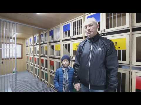 Видео: Новая голубятня для николаевских голубей Тюмень