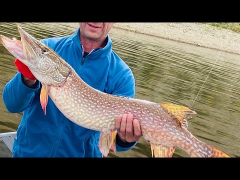 Видео: Отличная рыбалка🔥🔥🔥 р.Кама