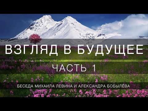 Видео: Взгляд в будущее, часть 1 // беседа Михаила Левина с Александром Бобылёвым