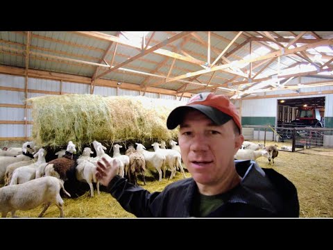 Видео: Может ли изготовленная на заказ кормушка для сена сократить отходы сена и сэкономить деньги?