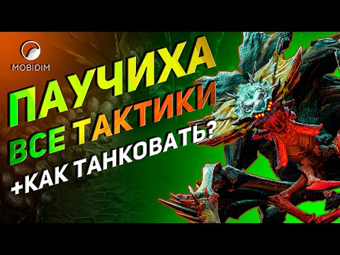 Видео: Как пройти паучиху в Raid? | Гайд новичку Raid shadow legends.