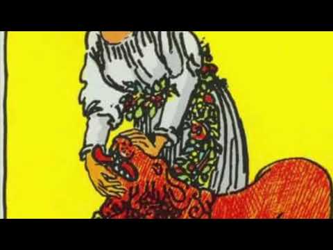 Видео: Значение карты Сила из семинара Алиции Хшановской