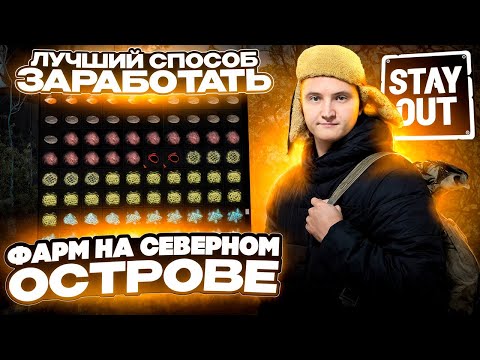 Видео: Фарм на Северном острове - лучший способ заработать! | Stay Out #stalkeronline